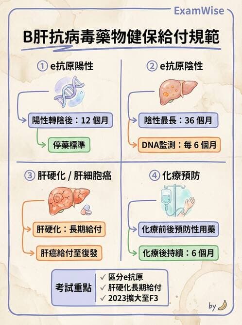 內專 - B型肝炎 - AI 圖文解析預覽