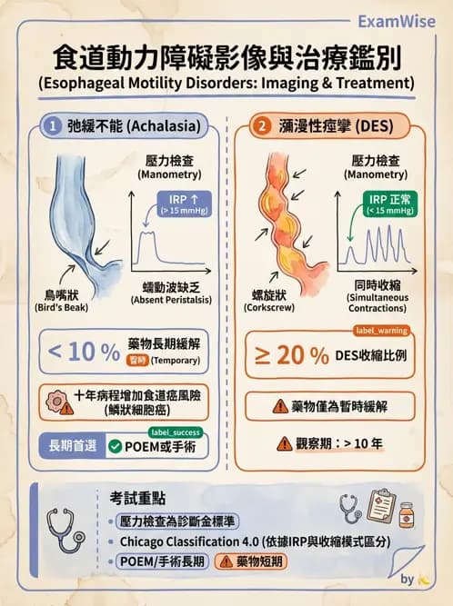 內專 - 食道運動障礙與吞嚥困難 - AI 圖文解析預覽