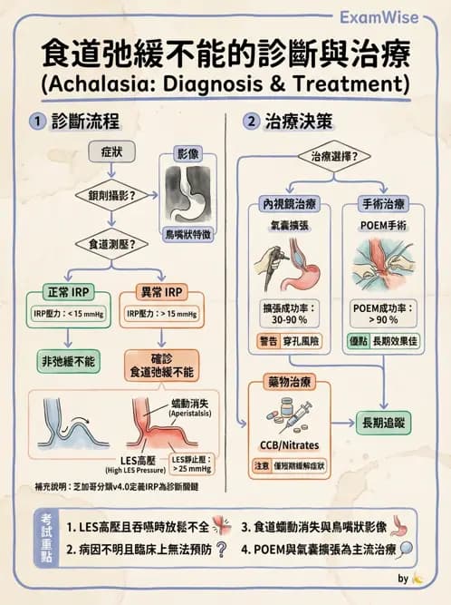 內專 - 食道運動障礙與吞嚥困難 - AI 圖文解析預覽