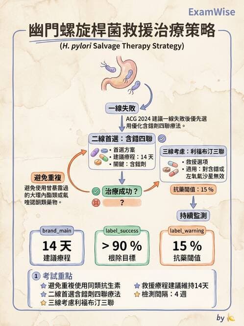 內專 - 幽門螺旋桿菌診斷與根除 - AI 圖文解析預覽