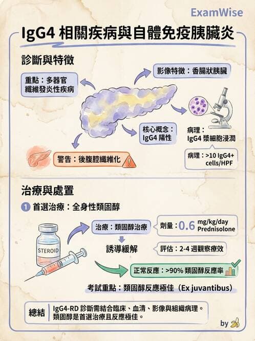 內專 - 膽汁滯留性肝病與黃疸鑑別 - AI 圖文解析預覽