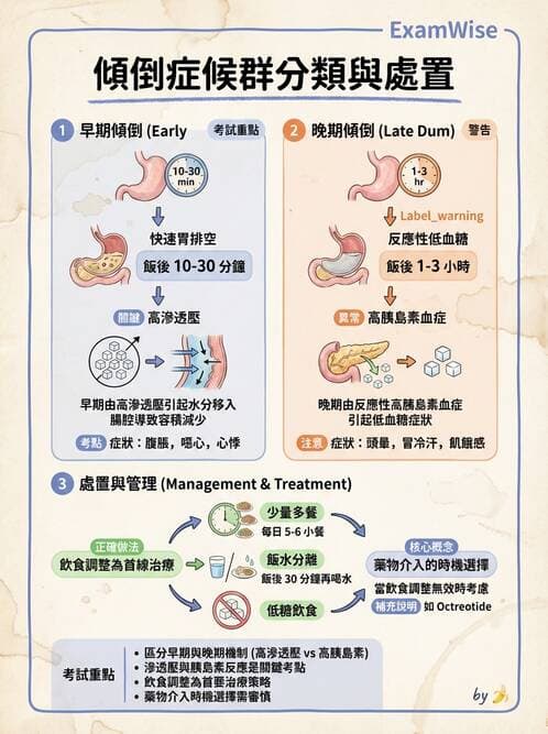 內專 - 胃炎、術後併發症與其他上消化道疾病 - AI 圖文解析預覽
