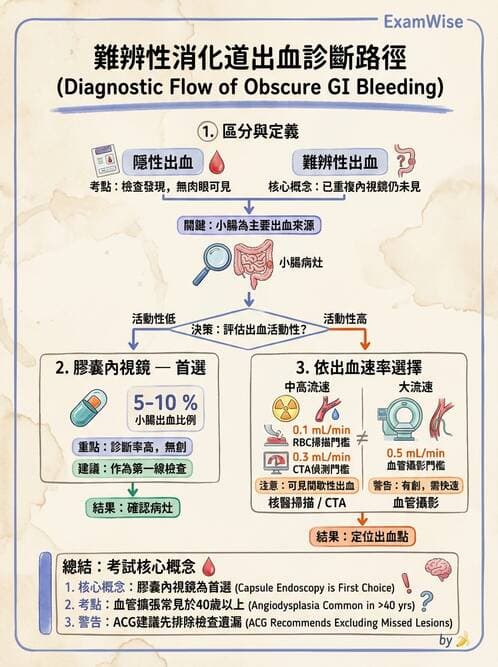 內專 - 憩室病、缺血性腸病與消化道出血 - AI 圖文解析預覽