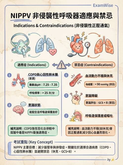 內專 - 呼吸衰竭、非侵襲性呼吸器與睡眠呼吸中止 - AI 圖文解析預覽