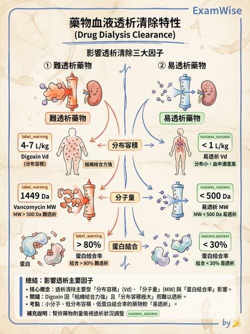 內專 - 透析與腎臟替代療法 - AI 圖文解析預覽