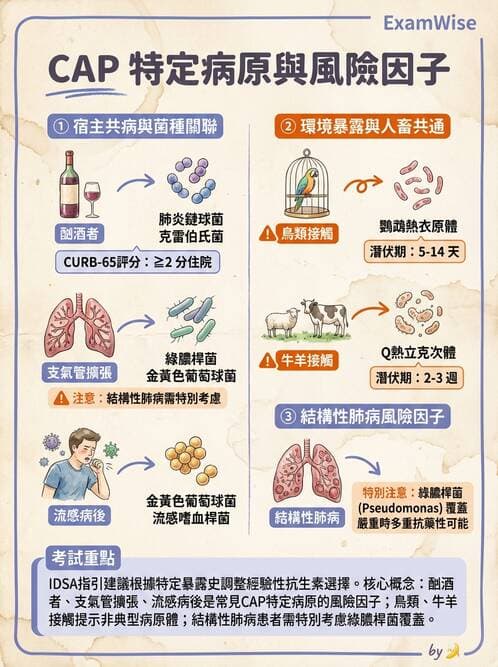 內專 - 革蘭氏陰性菌感染 - AI 圖文解析預覽