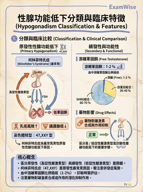 內專 - 腦垂體疾病 - AI 圖文解析預覽