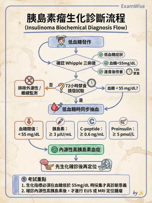 內專 - 低血糖與內源性高胰島素血症 - AI 圖文解析預覽