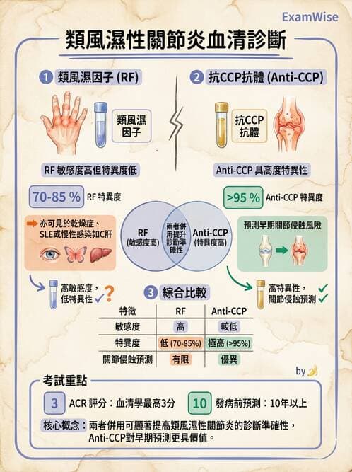 RA - 類風濕性關節炎 - AI 圖文解析預覽