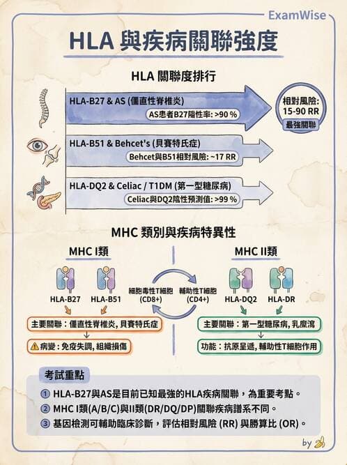 SLE - 全身性紅斑狼瘡 - AI 圖文解析預覽