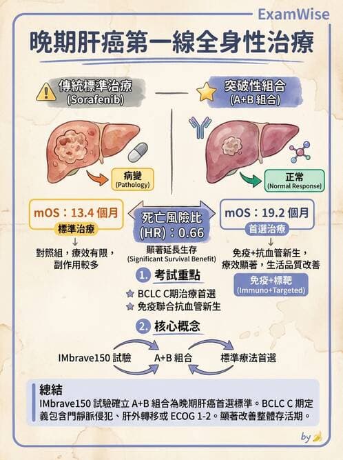 內專 - 免疫與標靶治療 - AI 圖文解析預覽