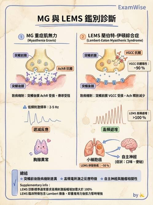 內專 - 神經肌肉接合與周邊神經疾病 - AI 圖文解析預覽