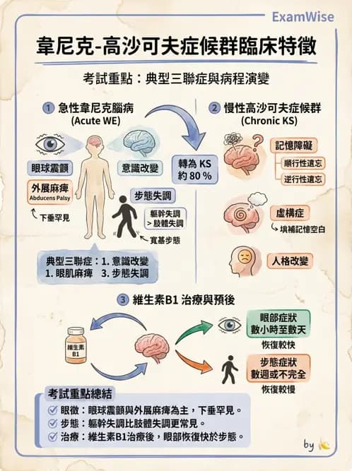 內專 - 腦炎、腦病變與癲癇 - AI 圖文解析預覽