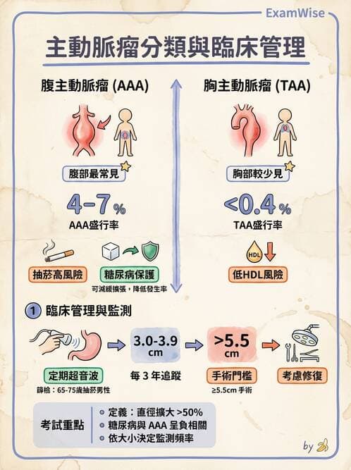 內專 - 主動脈與周邊血管疾病 - AI 圖文解析預覽