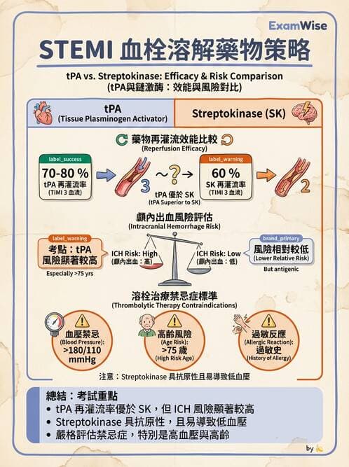 內專 - 急性冠心症 - AI 圖文解析預覽