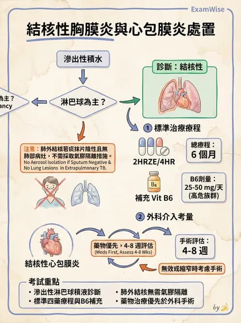 內專 - 肺結核 - AI 圖文解析預覽