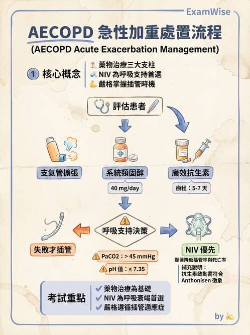 內專 - COPD 急性惡化 - AI 圖文解析預覽