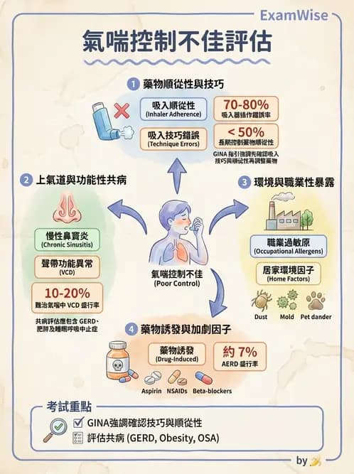 內專 - 氣喘 - AI 圖文解析預覽