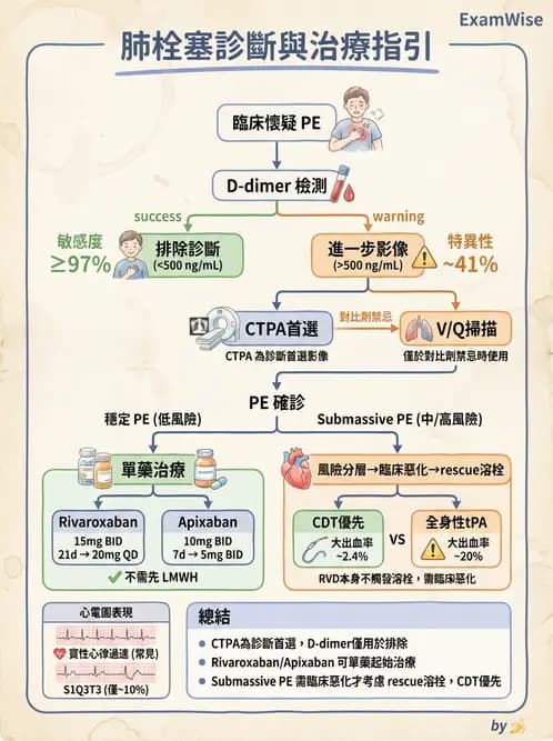 內專 - 肺血管疾病 - AI 圖文解析預覽