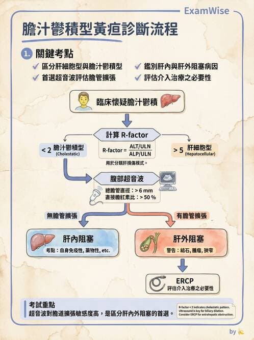 內專 - 膽汁滯留性肝病與黃疸鑑別 - AI 圖文解析預覽