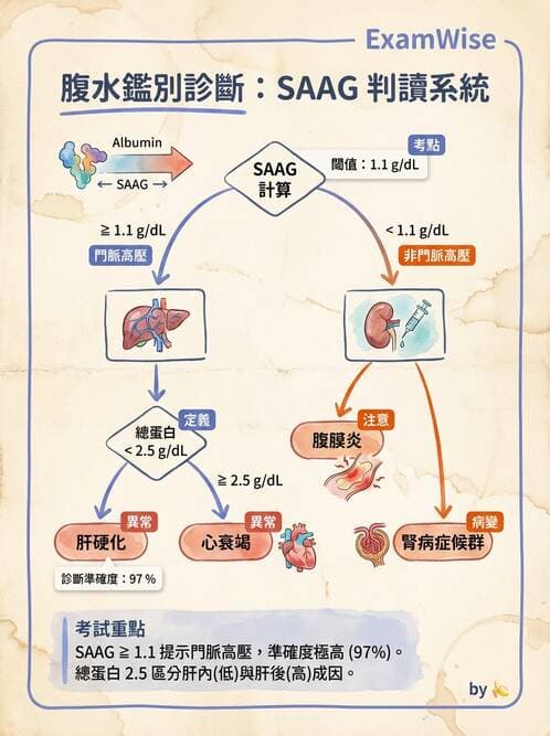 內專 - 肝硬化、肝癌及併發症 - AI 圖文解析預覽