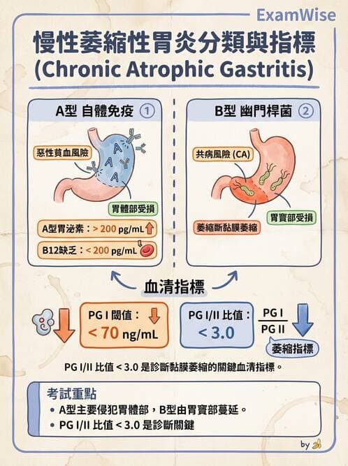 內專 - 胃炎、術後併發症與其他上消化道疾病 - AI 圖文解析預覽