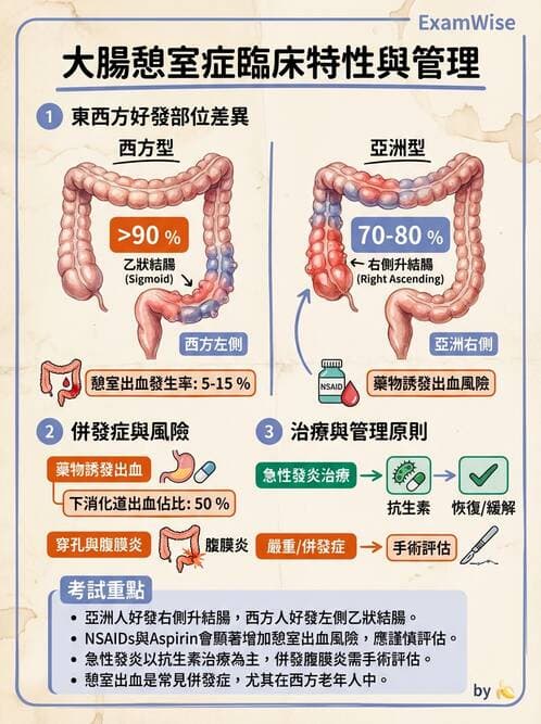 內專 - 憩室病、缺血性腸病與消化道出血 - AI 圖文解析預覽