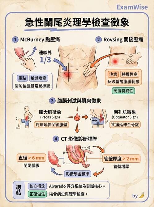 內專 - 腸道阻塞與急性腹症 - AI 圖文解析預覽