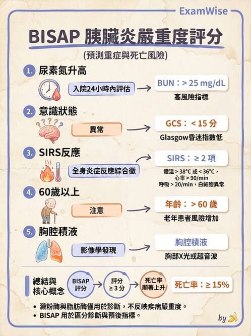 內專 - 胰臟疾病 - AI 圖文解析預覽