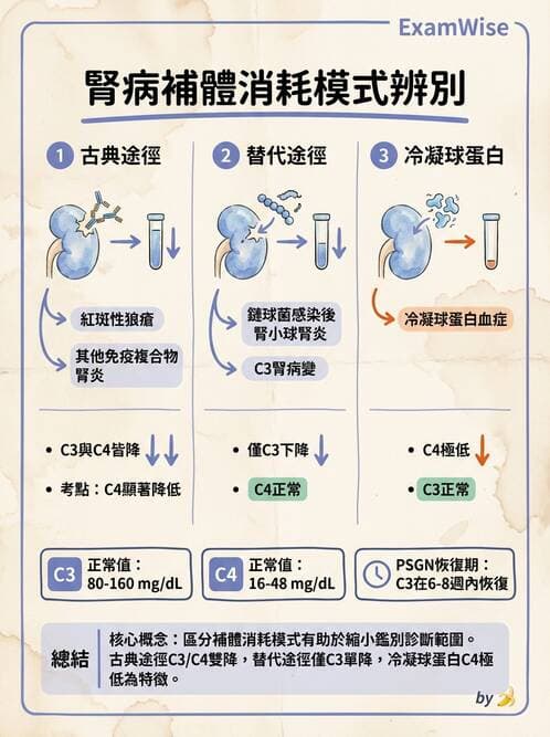 內專 - 繼發性腎絲球腎炎 - AI 圖文解析預覽