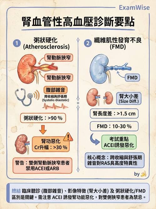 內專 - 腎血管疾病與妊娠腎病 - AI 圖文解析預覽