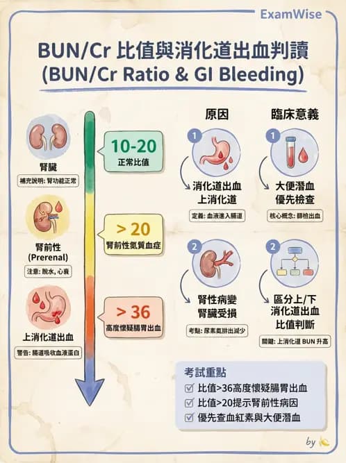 內專 - 慢性腎臟病管理 - AI 圖文解析預覽