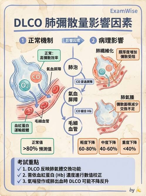 內專 - 間質性肺病與肺纖維化 - AI 圖文解析預覽