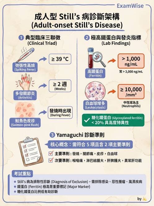 內專 - 免疫學基礎與特殊免疫反應 - AI 圖文解析預覽