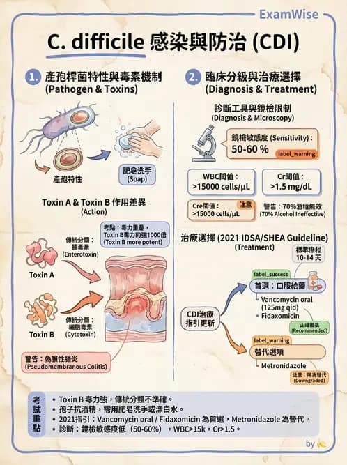 內專 - 憩室病、缺血性腸病與消化道出血 - AI 圖文解析預覽