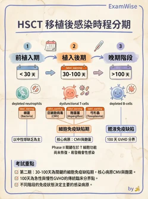 內專 - 感染總論與敗血症 - AI 圖文解析預覽