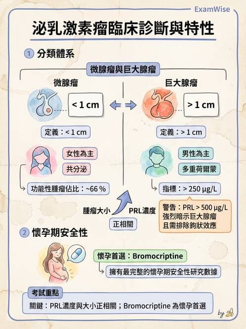 內專 - 腦垂體疾病 - AI 圖文解析預覽