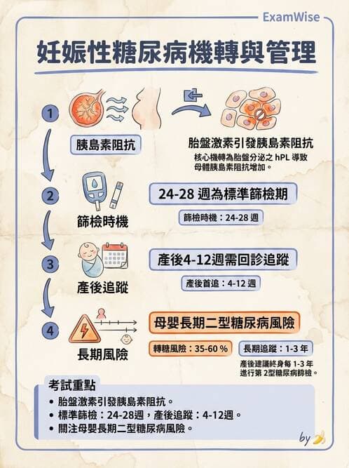 內專 - 糖尿病診斷、特殊族群與代謝性疾病 - AI 圖文解析預覽