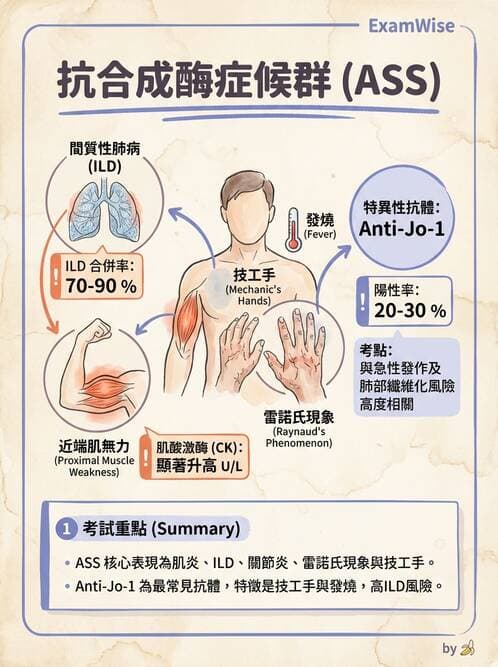 內專 - 炎性肌病 - AI 圖文解析預覽