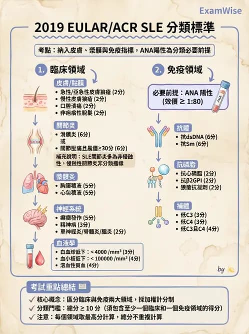 SLE - 全身性紅斑狼瘡 - AI 圖文解析預覽