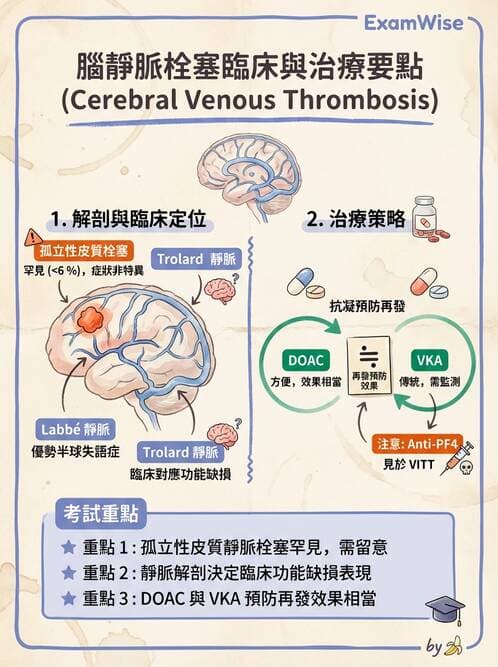 內專 - 腦血管疾病 - AI 圖文解析預覽