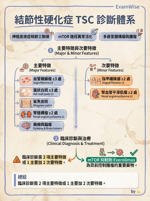 內專 - 皮膚腫瘤 - AI 圖文解析預覽