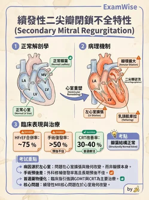 內專 - 瓣膜性心臟病 - AI 圖文解析預覽