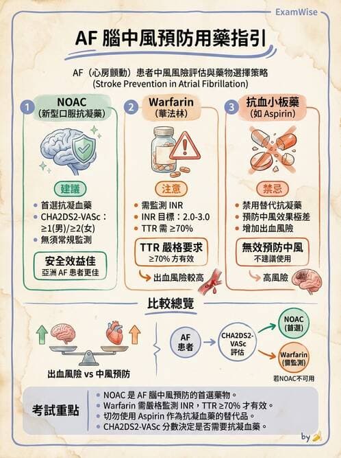 內專 - 心房顫動與上心室心律不整 - AI 圖文解析預覽