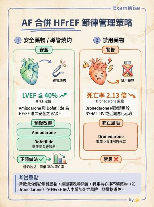 內專 - 心衰竭 - AI 圖文解析預覽