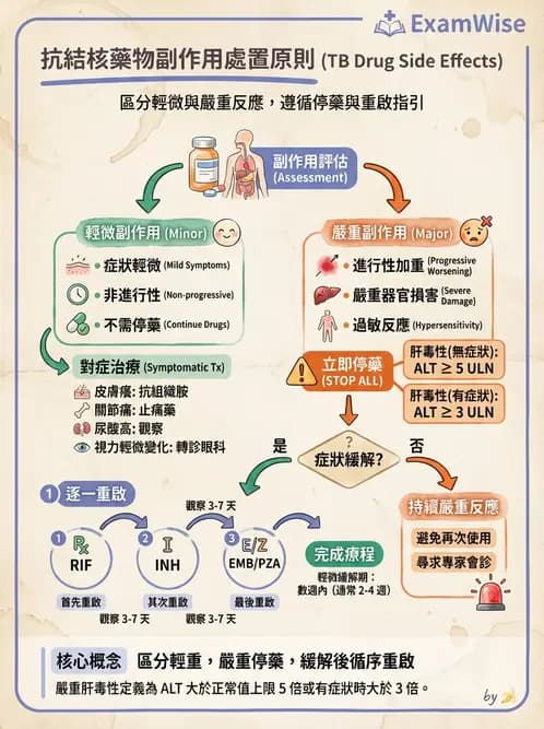 內專 - 肺結核 - AI 圖文解析預覽