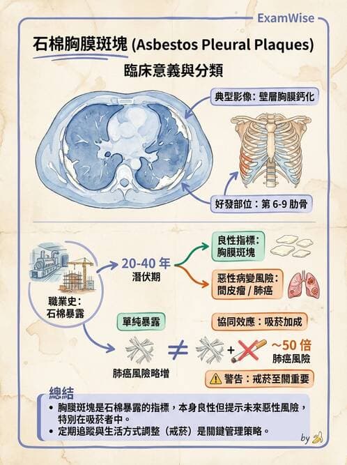 內專 - 間質性肺病與肺纖維化 - AI 圖文解析預覽
