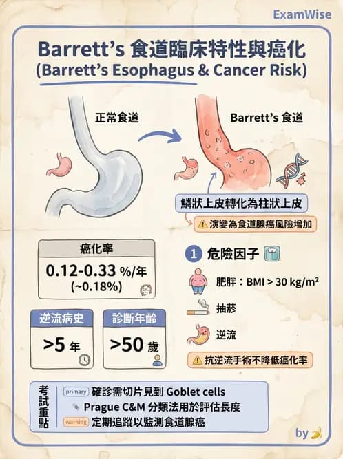 內專 - GERD、Barrett's食道與食道炎 - AI 圖文解析預覽