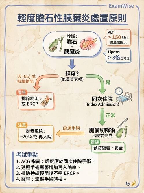 內專 - 膽道疾病與膽酸生理 - AI 圖文解析預覽