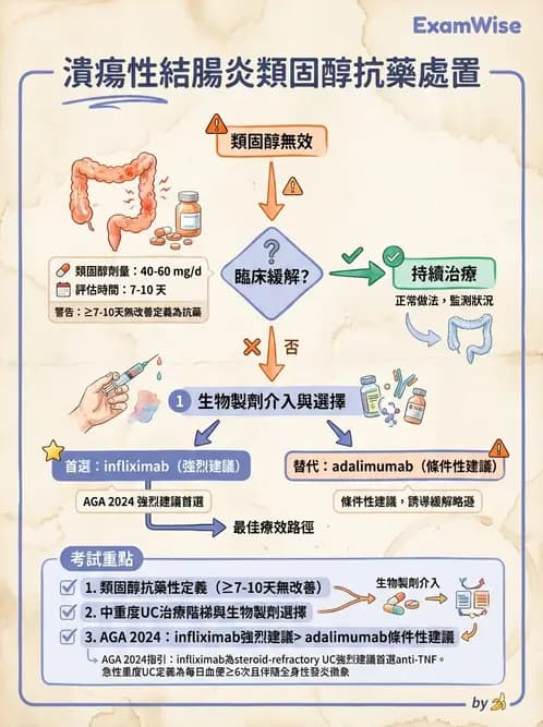 內專 - 發炎性腸道疾病 - AI 圖文解析預覽